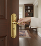 Premium Lever Handle on Backplate with Bathroom Turn and Keyhole Options for Versatile Interior Design