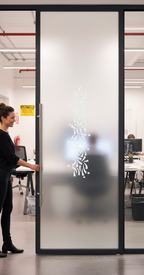 Premium Frameless Satin Glass Door with Ball Handle and 100mm Jambs - Custom Sizes Available