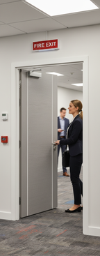 Premium Fully Finished FD30 Internal Fire Door with Aluminium Inlays in Contemporary Grey Veneer for Modern Interiors