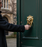 Premium Lion Head Door Knocker in Polished Brass Finish for Elegant Home Entryways