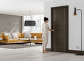 Premium Internal Door with Real Abachi Veneers and Aluminium Strip Inlays for Modern Living Environments