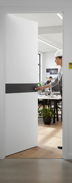 Premium Internal White Door with Dark Grey Insert - Modern Design, Factory Finished, Ready to Hang