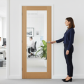 Premium Glazed Internal Door with Clear Panel and Frosted Lines - Versatile Design for Any Interior