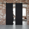 Premium Double Sliding Track System for Interior Doors - Soft Close Option, Black Finish, 2000mm & 3000mm Lengths