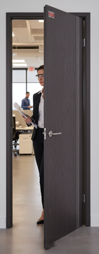 Professional Contemporary Ash Grey Fire Door with Aluminium Inlay - 30-Minute Fire Rated, Solid Core Design for Residential and Commercial Use